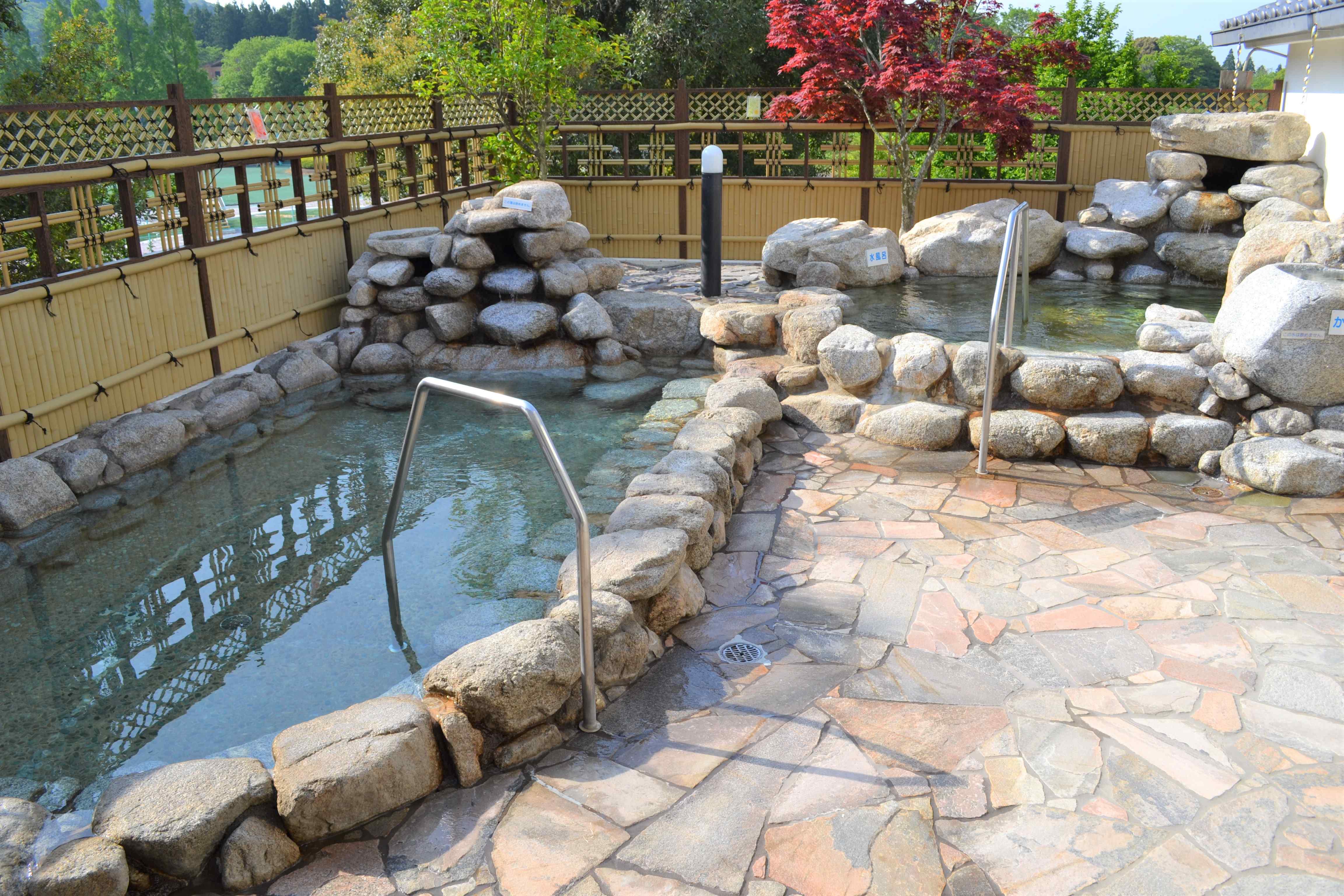 🏞️ 간논이케 공원(칸논이케 코우엔) 이미지 4